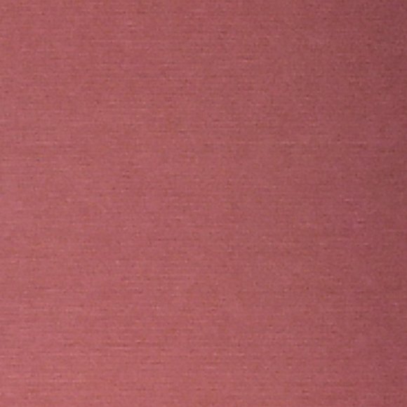 Meet your Posher, Caroline - Picture 1 of 1